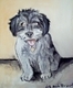ANGEL 8X10 INCH ORIGINAL  CONTEMPORARY PET PORTRAIT 2009